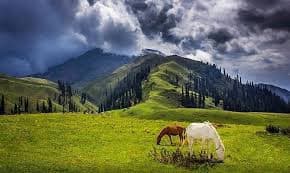 Thandiani Hill Station